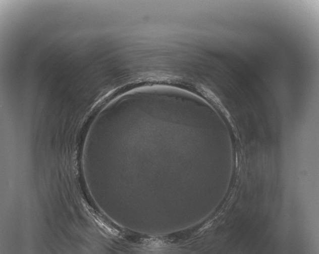 X0000080150249200612151837