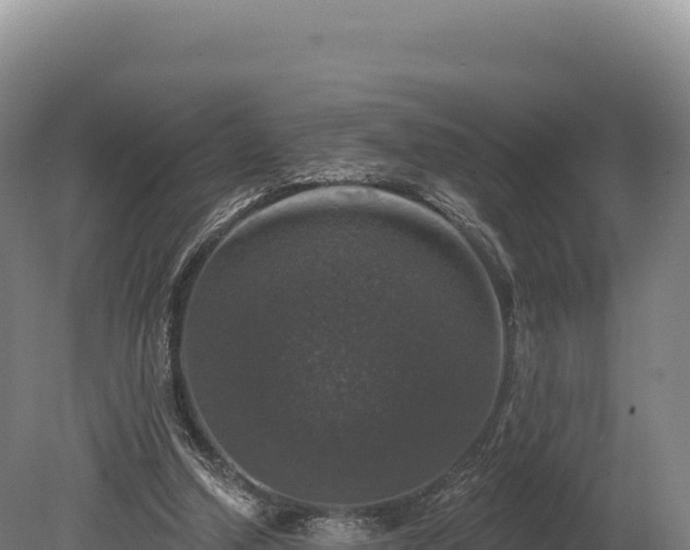 X0000080150250200612151837