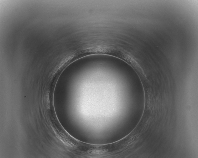 X0000080150251200612151837