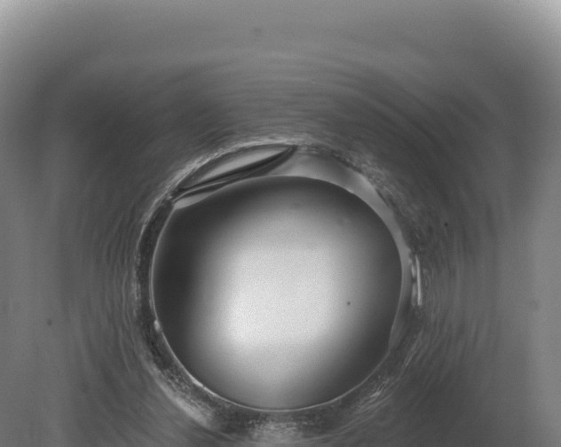 X0000080150252200612151837