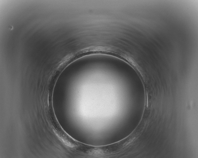 X0000080150253200612151837