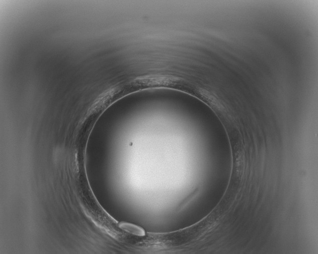 X0000080150254200612151837