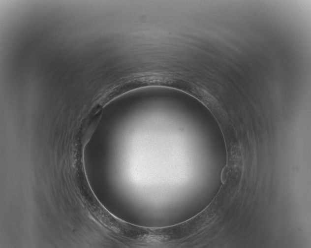 X0000080150255200612151837