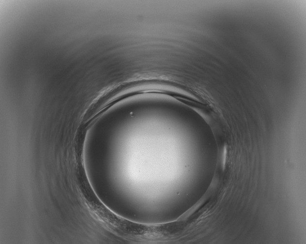 X0000080150256200612151837