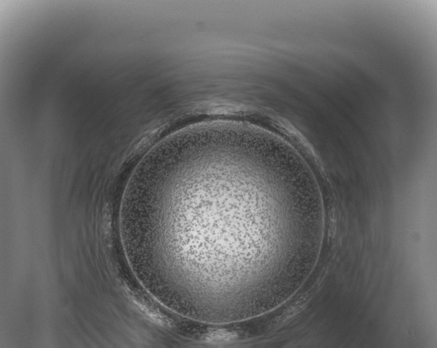 X0000080150257200612151837