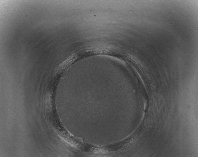 X0000080150258200612151837