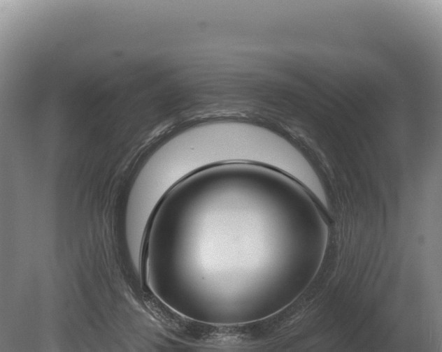 X0000080150260200612151838