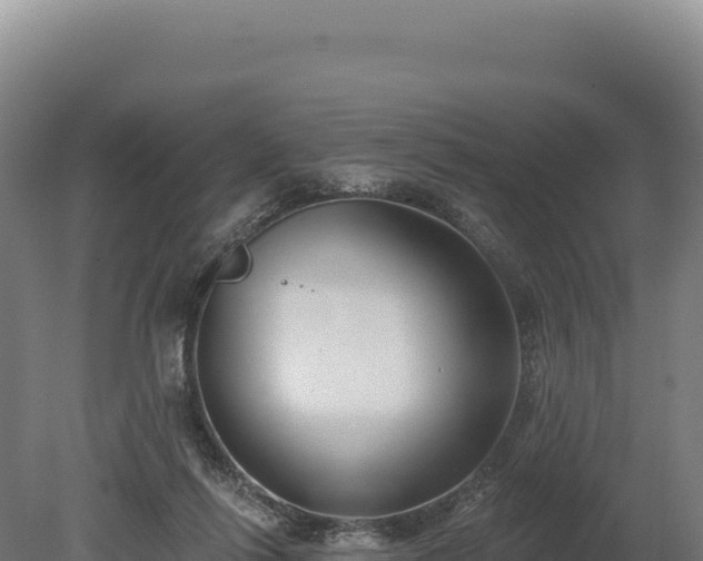 X0000080150262200612151838