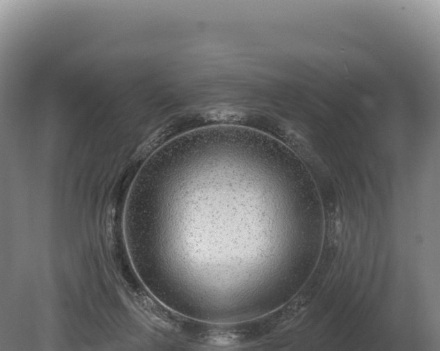 X0000080150263200612151838