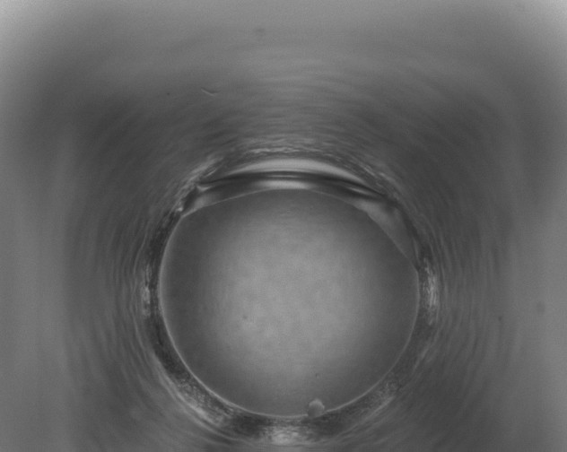 X0000080150264200612151838