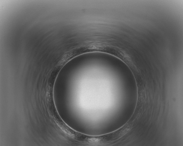 X0000080150265200612151838