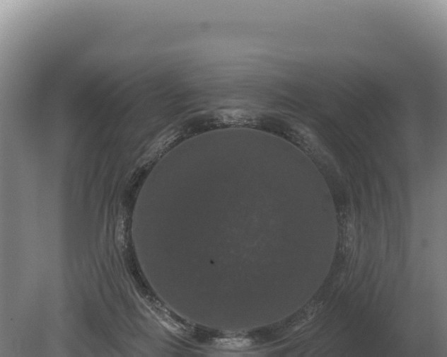 X0000080150266200612151838