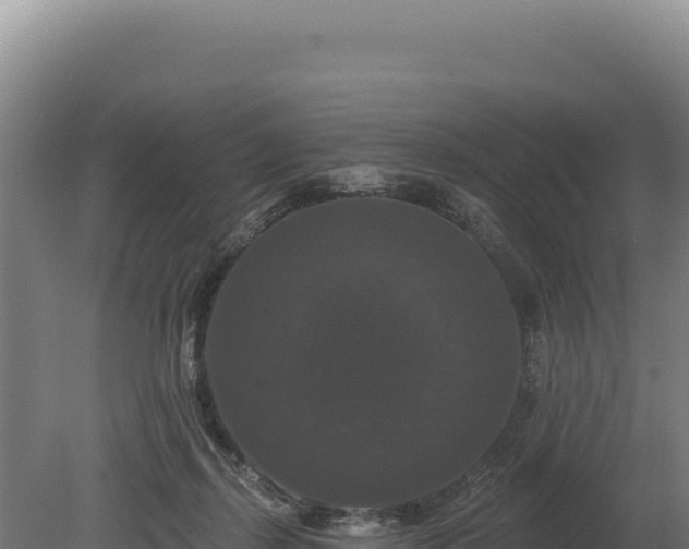 X0000080150267200612151838