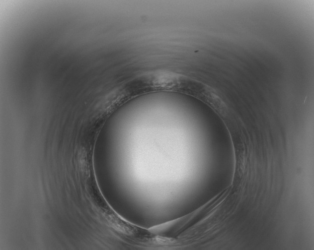 X0000080150270200612151838