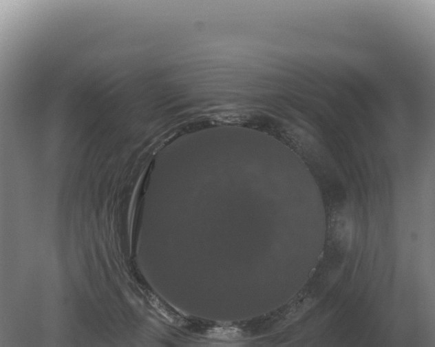 X0000080150271200612151838