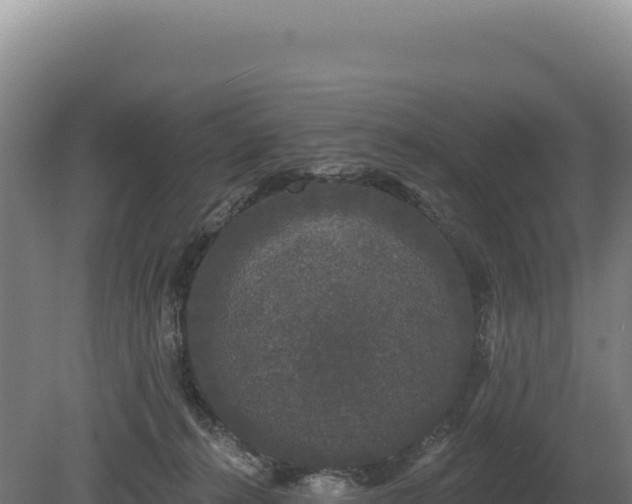 X0000080150272200612151838