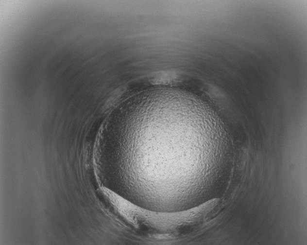 X0000080150273200612151838