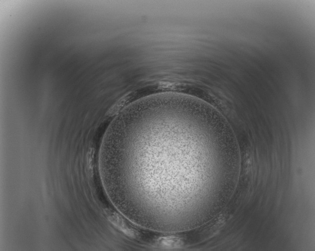 X0000080150275200612151838