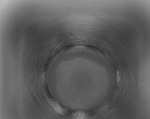 X0000080150276200612151838