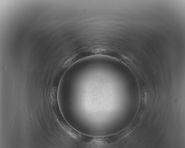 X0000080150280200612151838