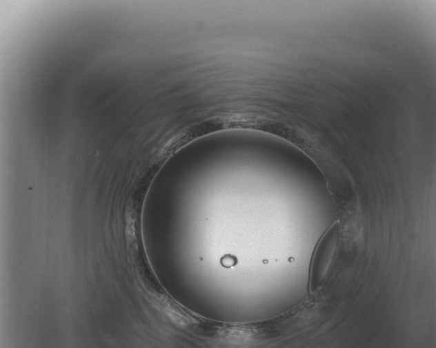 X0000080150282200612151838