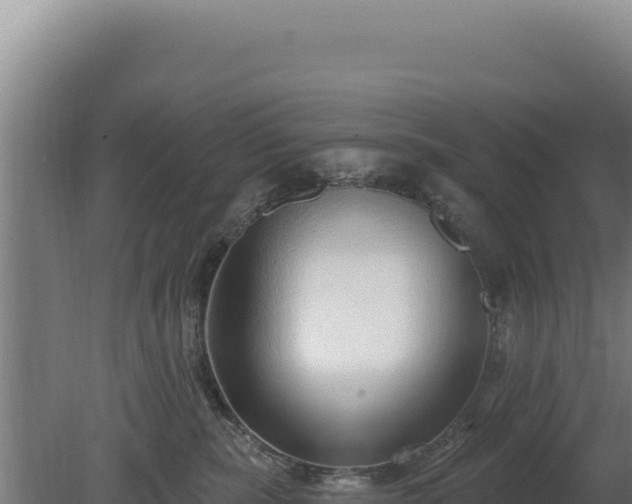 X0000080150283200612151838