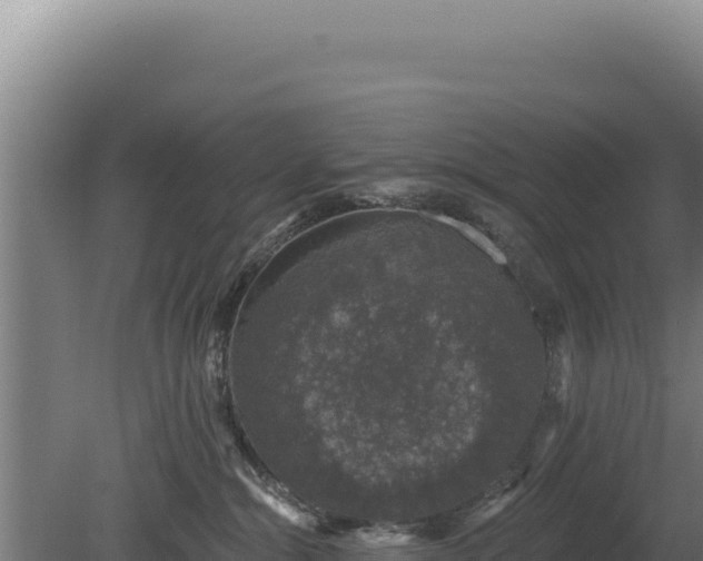 X0000080150284200612151838