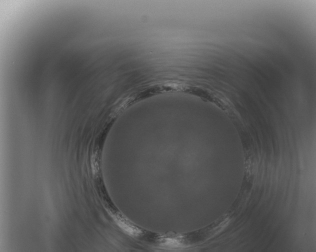 X0000080150285200612151838