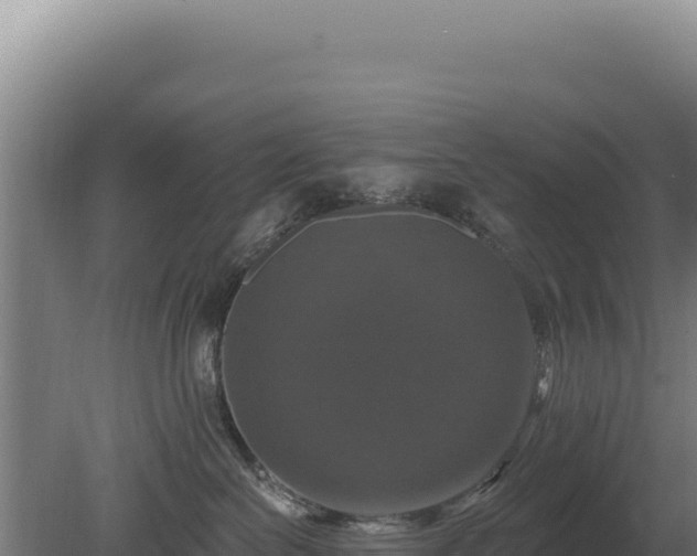 X0000080150286200612151838