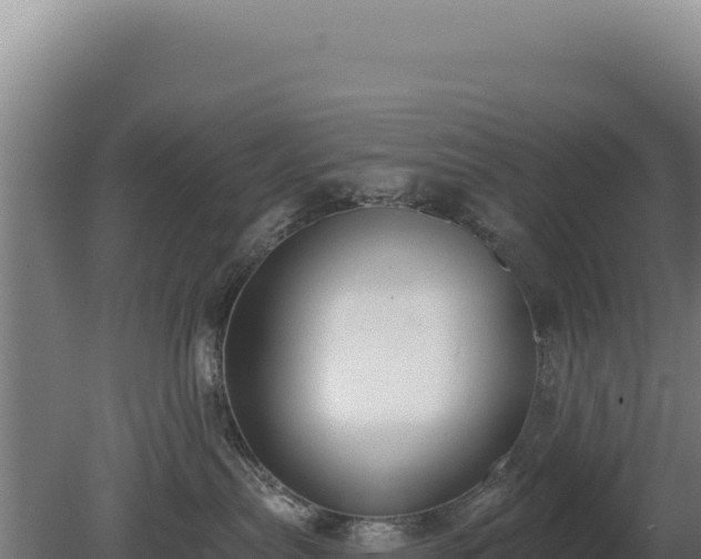 X0000080150287200612151838