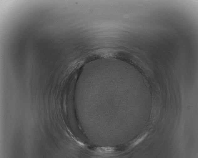 X0000080150288200612151838