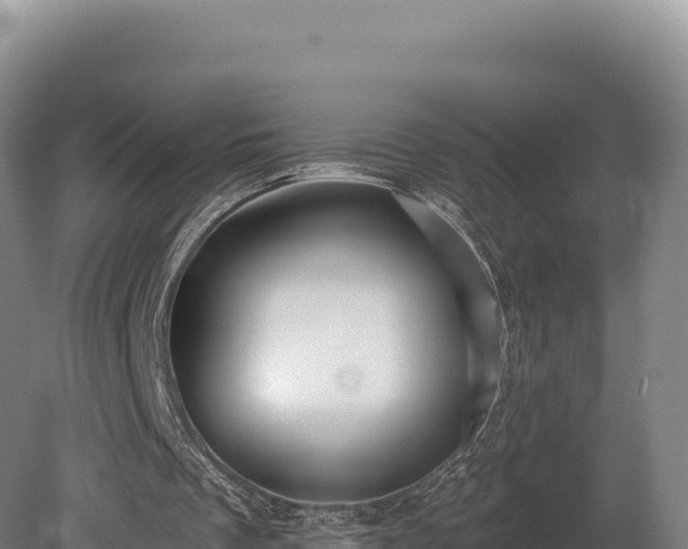 X0000080150289200612151837