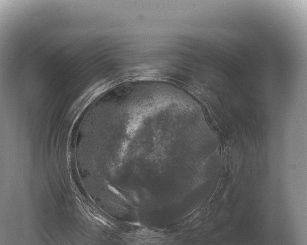 X0000080150290200612151837