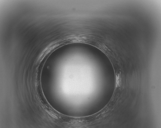 X0000080150291200612151837