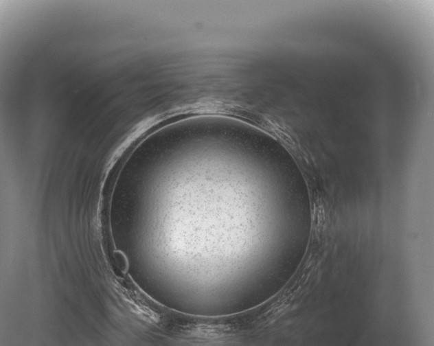 X0000080150292200612151837