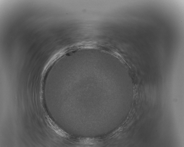 X0000080150293200612151837