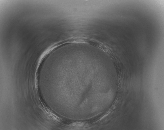 X0000080150294200612151837