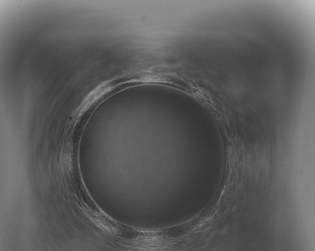 X0000080150295200612151837