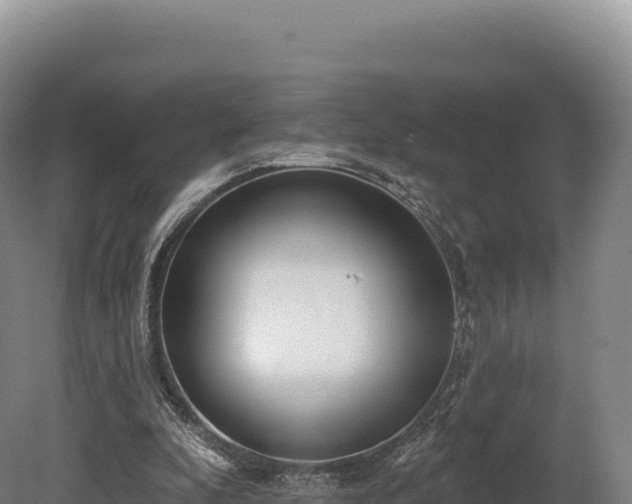 X0000080150296200612151837