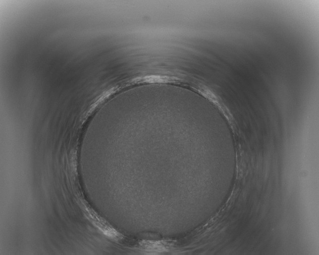 X0000080150297200612151837