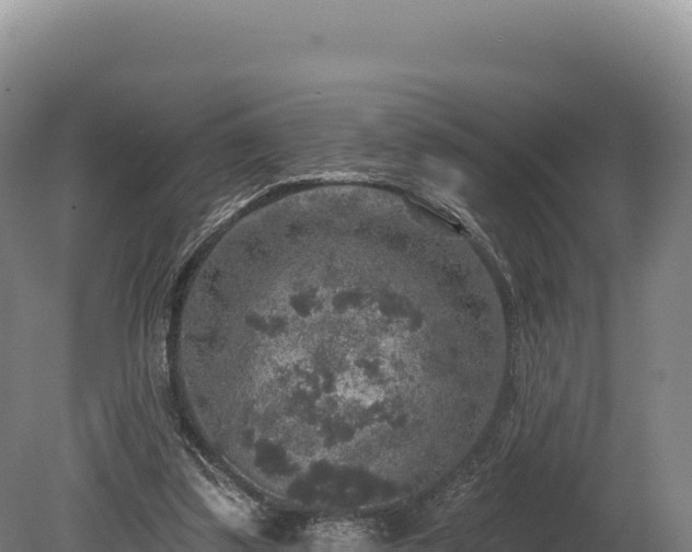 X0000080150299200612151837