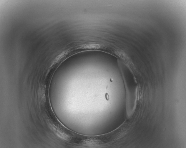 X0000080150300200612151837