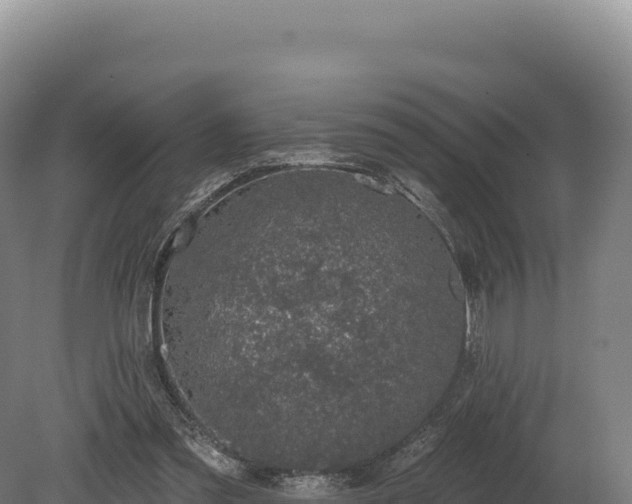 X0000080150301200612151837