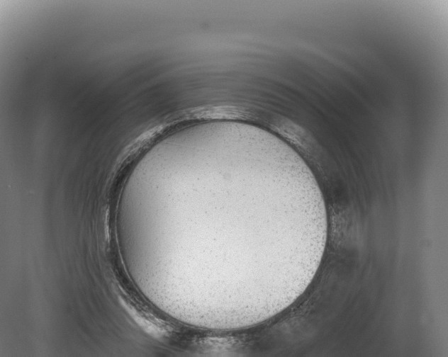 X0000080150302200612151837