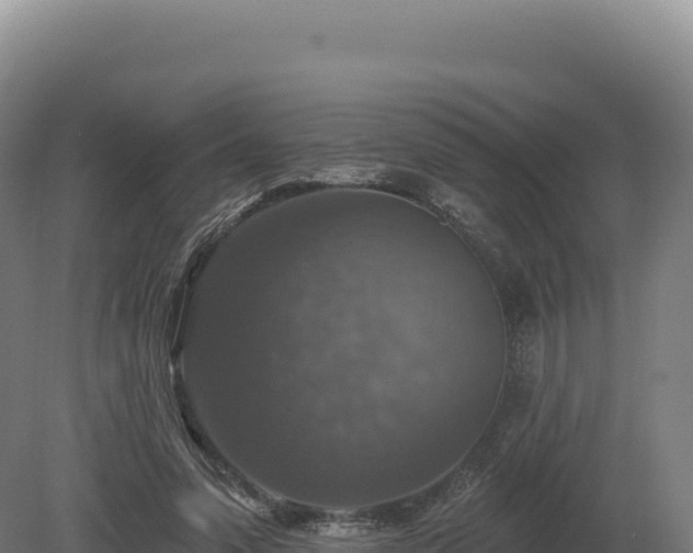 X0000080150303200612151837