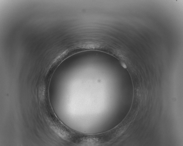 X0000080150304200612151837