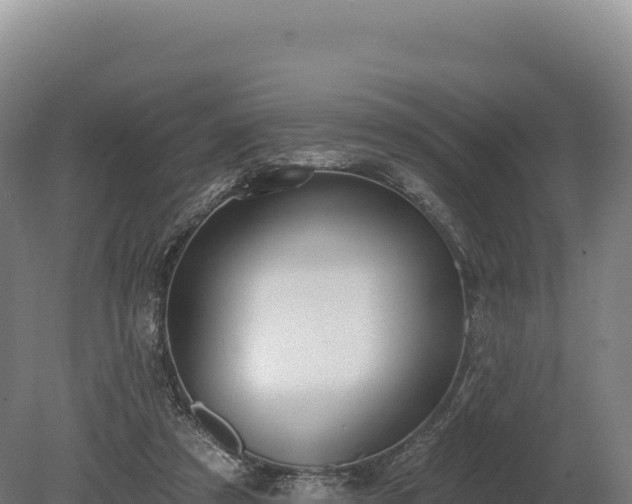 X0000080150305200612151837