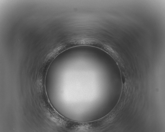 X0000080150306200612151837