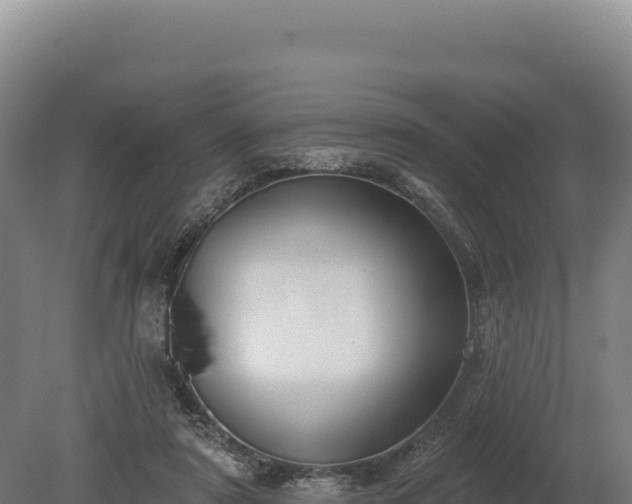 X0000080150307200612151837