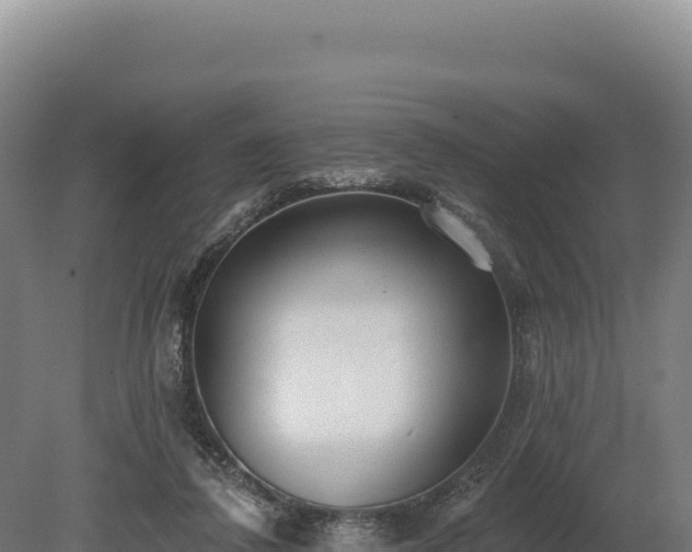 X0000080150308200612151837